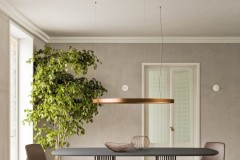 Homes Orme - Collection Day